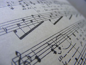 biblioteca 261 copy.jpg